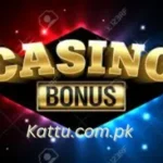 Bonus Casino Game