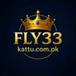 Fly33 Game