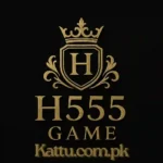 H555 Game
