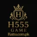 H555 Game